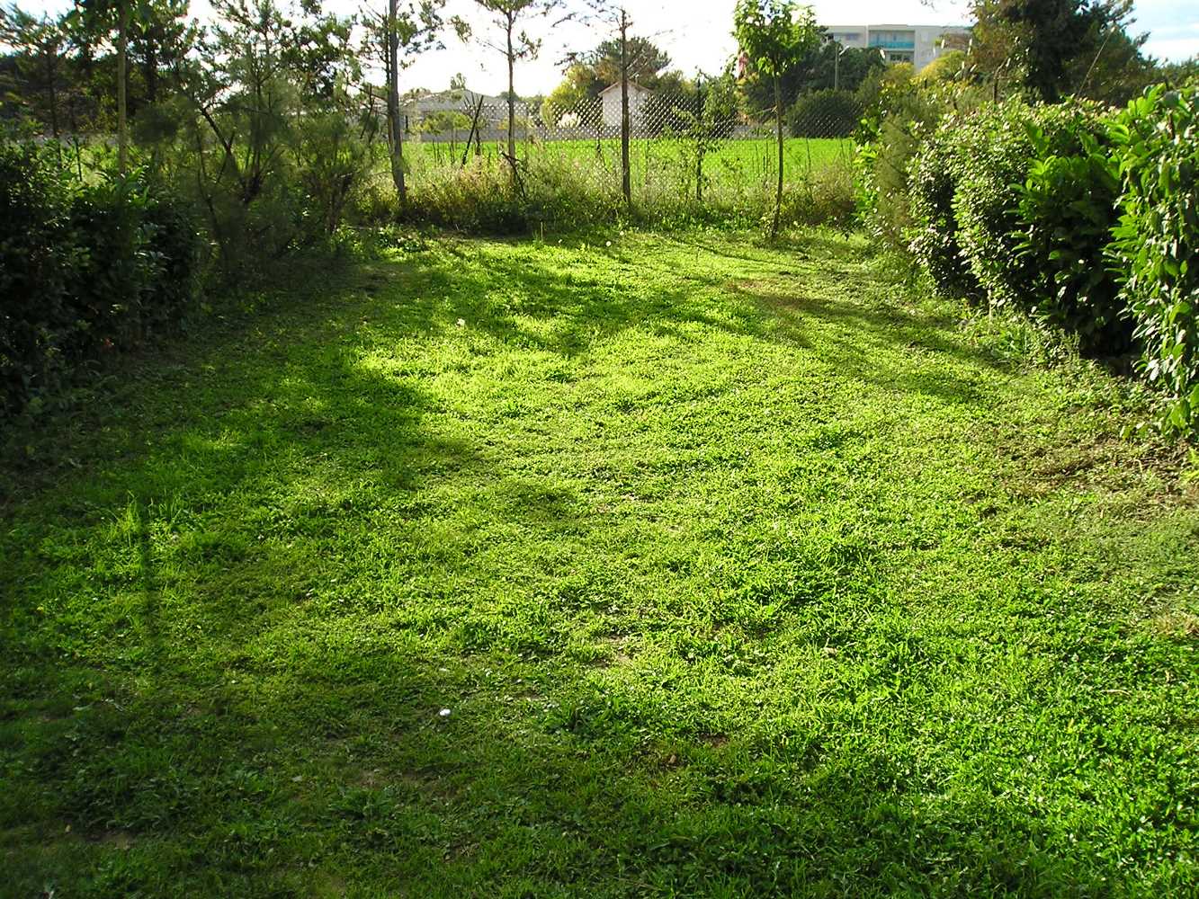 Emplacement camping au Camping Le Floréal, camping 2 étoiles, camping pas cher à Lattes près de Montpellier et Palavas-les-Flots