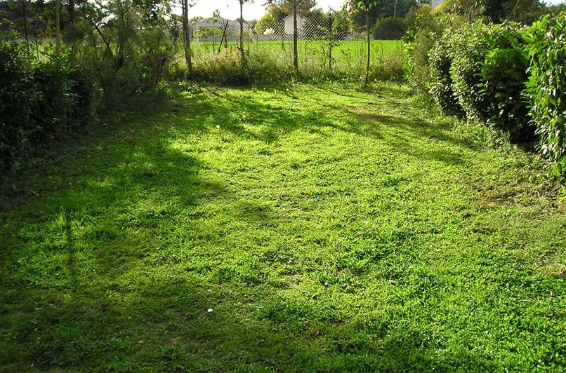 Emplacement camping au Camping Le Floréal, camping 2 étoiles, camping pas cher à Lattes près de Montpellier et Palavas-les-Flots