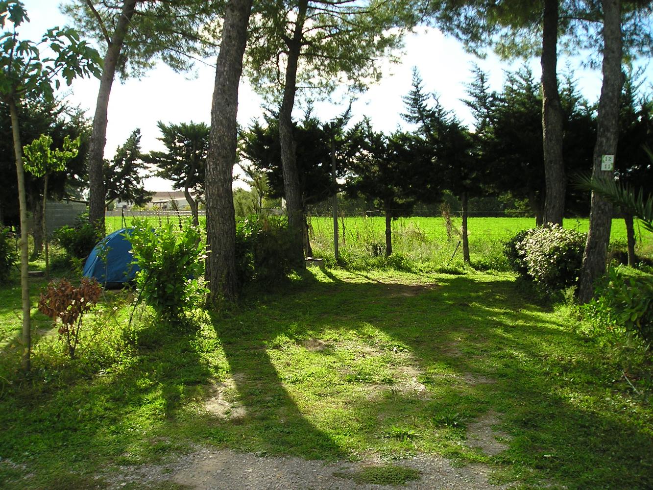Emplacement camping au Camping Le Floréal, camping 2 étoiles, camping pas cher à Lattes près de Montpellier et Palavas-les-Flots