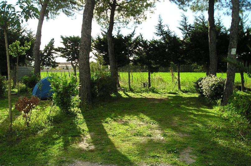Emplacement camping au Camping Le Floréal, camping 2 étoiles, camping pas cher à Lattes près de Montpellier et Palavas-les-Flots
