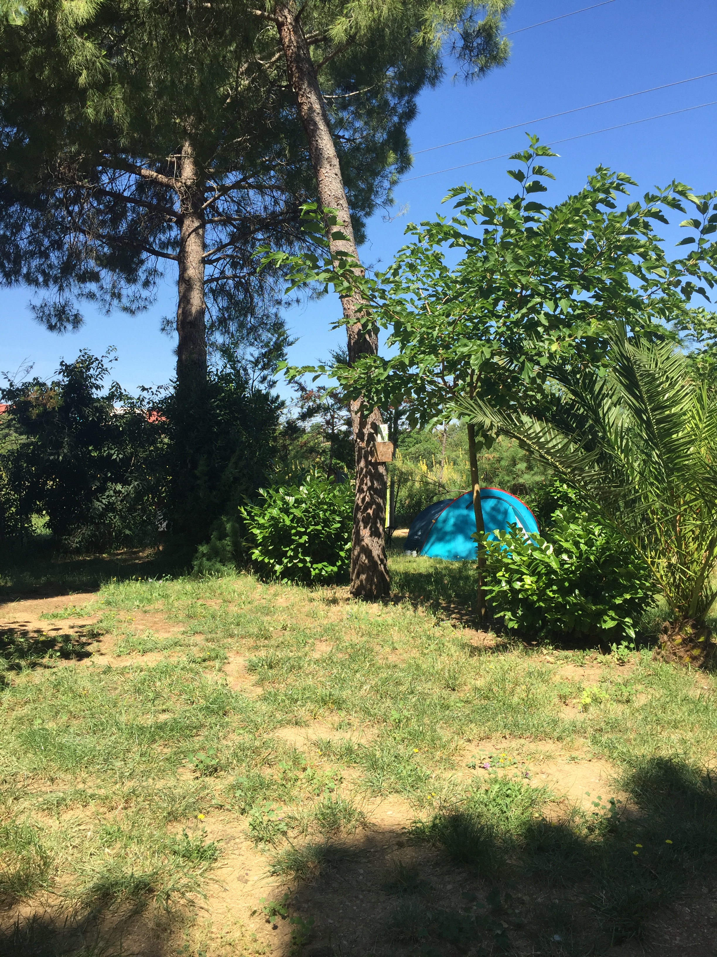 Camping Le Floréal, camping 2 étoiles, location de mobil homes, camping bord de mer à Lattes près de Montpellier et Palavas-les-Flots