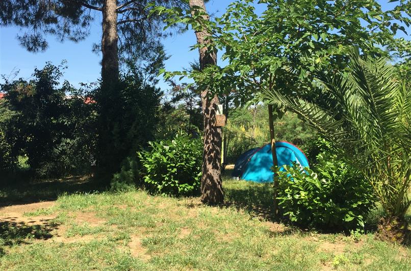 Camping Le Floréal, location de mobil homes, camping bord de mer à Lattes près de Montpellier et Palavas-les-Flots