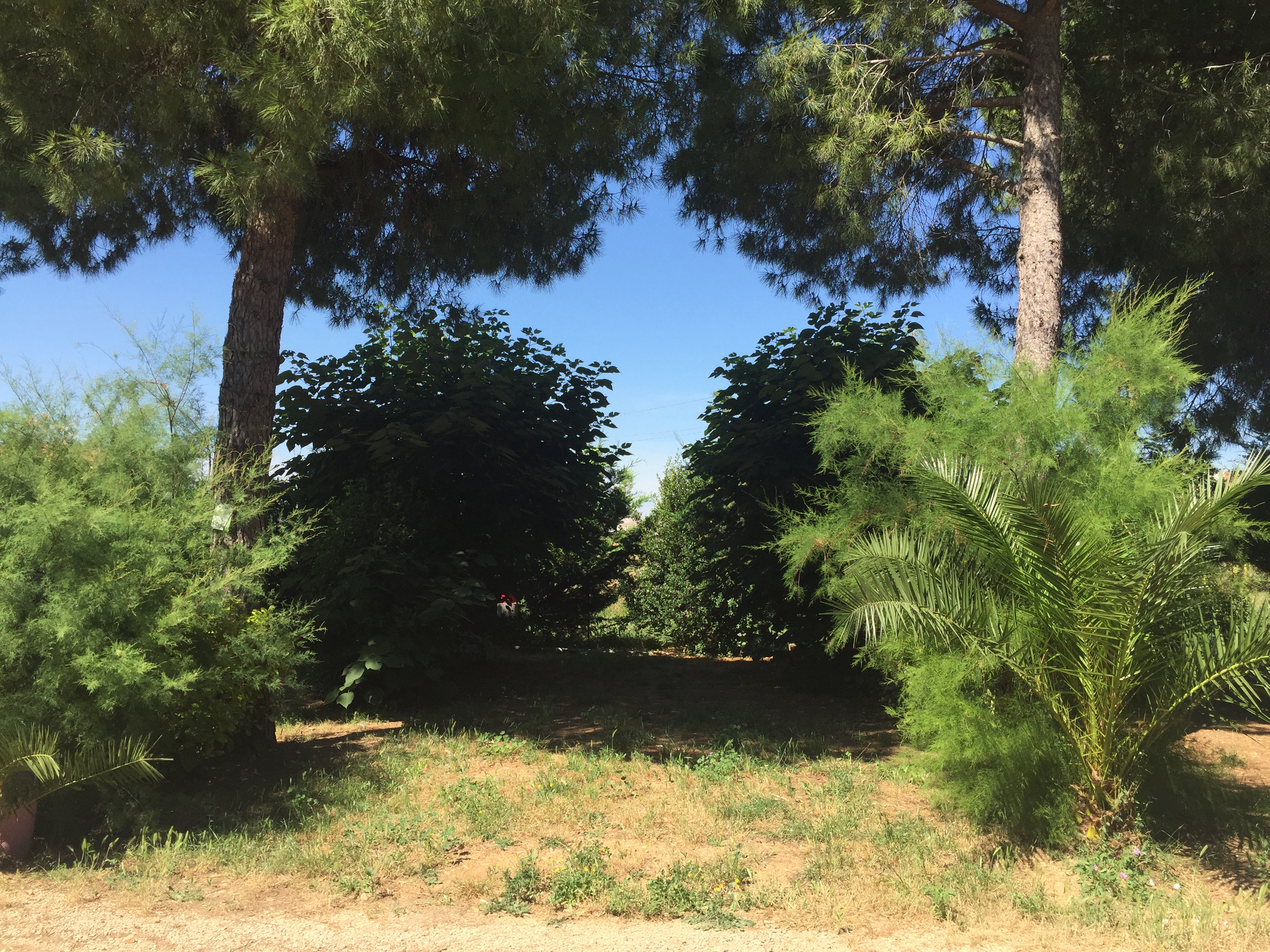 Emplacement camping au Camping Le Floréal, camping 2 étoiles, camping pas cher à Lattes près de Montpellier et Palavas-les-Flots