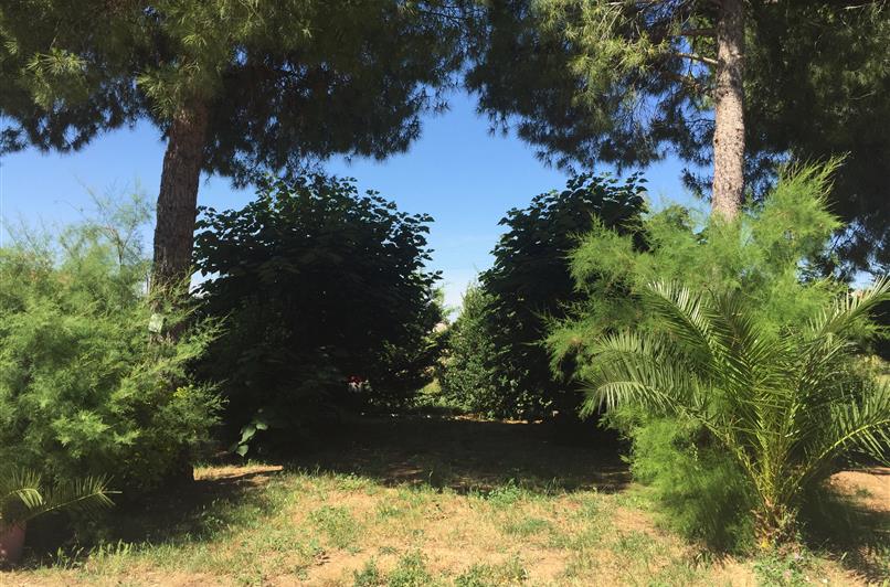 Emplacement camping au Camping Le Floréal, camping 2 étoiles, camping pas cher à Lattes près de Montpellier et Palavas-les-Flots