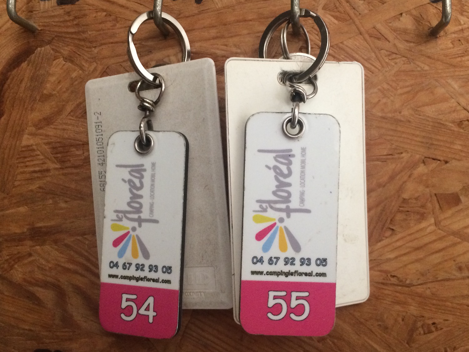 Camping Le Floreal Lattes près de Montpellier et Palavas Les Flots